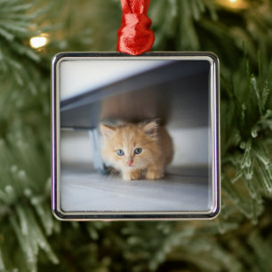 Cutest Baby Animals   Fluffy Orange Kitten Metal Ornament