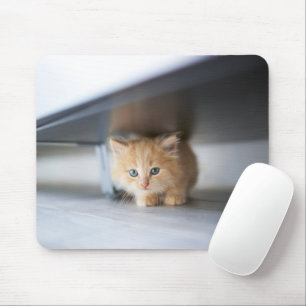 Cutest Baby Animals Fluffy Orange Kitten Mouse Pad