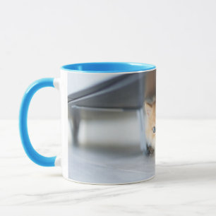 Cutest Baby Animals Fluffy Orange Kitten Mug