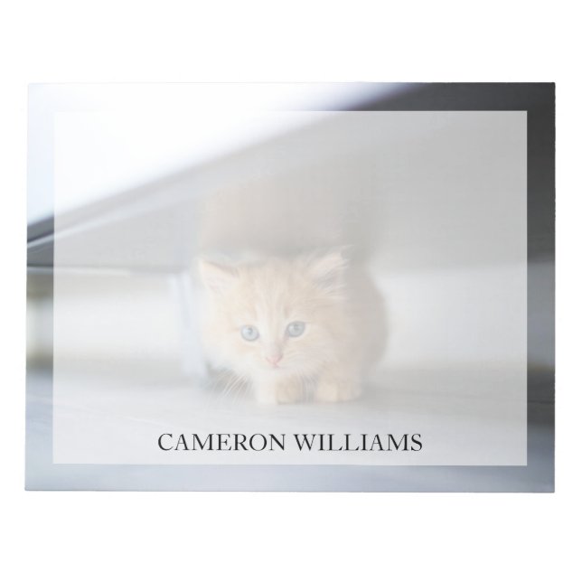 Cutest Baby Animals | Fluffy Orange Kitten Notepad (Front)