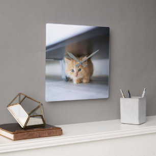 Cutest Baby Animals   Fluffy Orange Kitten Square Wall Clock