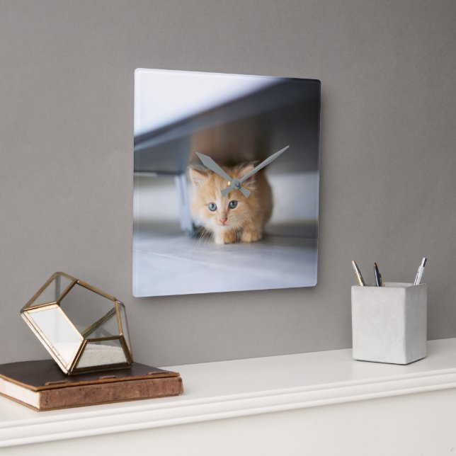 Cutest Baby Animals | Fluffy Orange Kitten Square Wall Clock (Office)
