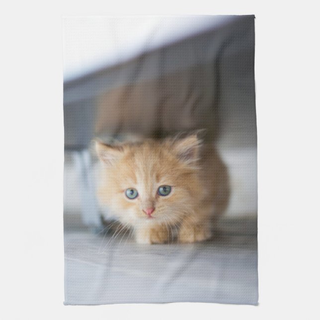 Cutest Baby Animals | Fluffy Orange Kitten Tea Towel (Vertical)