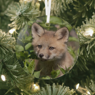 Cutest Baby Animals   Fox Kit Glass Tree Decoration