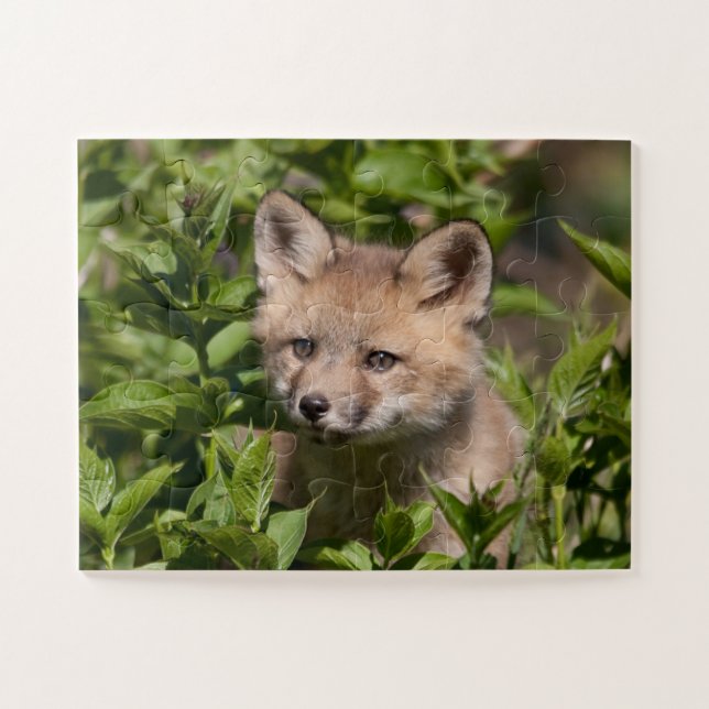 Cutest Baby Animals | Fox Kit Jigsaw Puzzle (Horizontal)