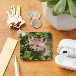 Cutest Baby Animals   Fox Kit Key Ring