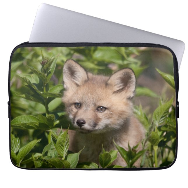 Cutest Baby Animals | Fox Kit Laptop Sleeve (Front)