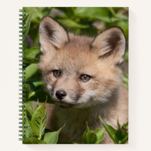 Cutest Baby Animals Fox Kit Notebook