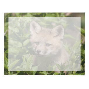 Cutest Baby Animals   Fox Kit Notepad