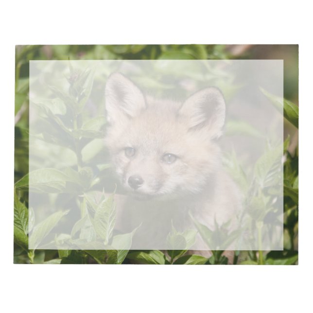 Cutest Baby Animals | Fox Kit Notepad (Front)