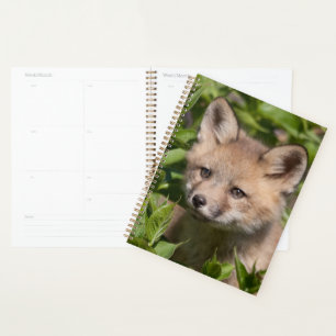 Cutest Baby Animals Fox Kit Planner