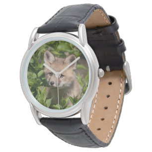 Cutest Baby Animals   Fox Kit Watch