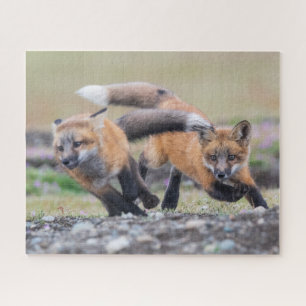 Cutest Baby Animals Fox Pups at Play Jigsaw Puzzle