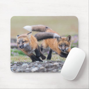 Cutest Baby Animals   Fox Pups at Play Mouse Pad
