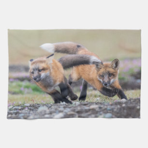 Cutest Baby Animals Fox Pups at Play Tea Towel