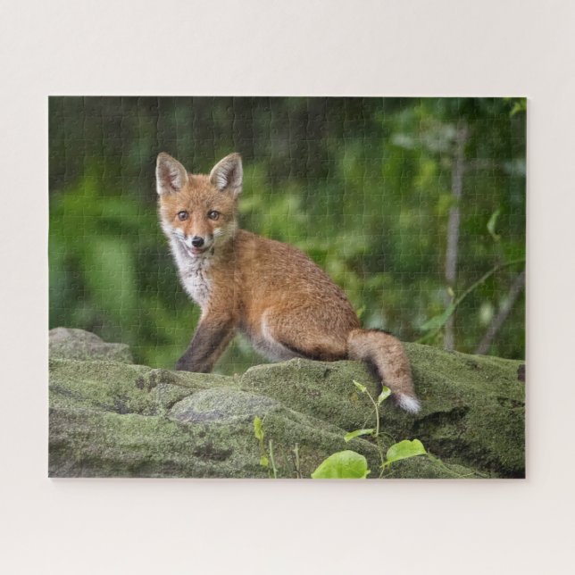 Cutest Baby Animals | Foxy Smile Jigsaw Puzzle (Horizontal)