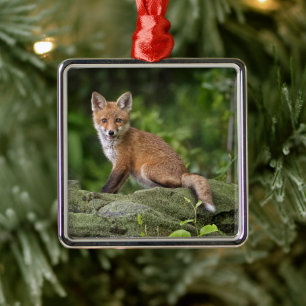 Cutest Baby Animals   Foxy Smile Metal Ornament