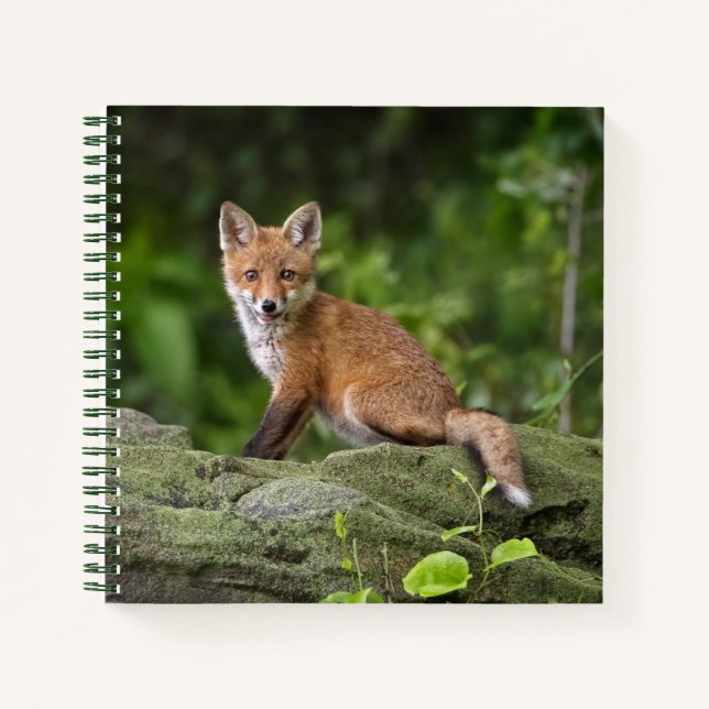 Cutest Baby Animals | Foxy Smile Notebook (Front)