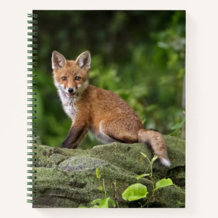 Cutest Baby Animals Foxy Smile Notebook