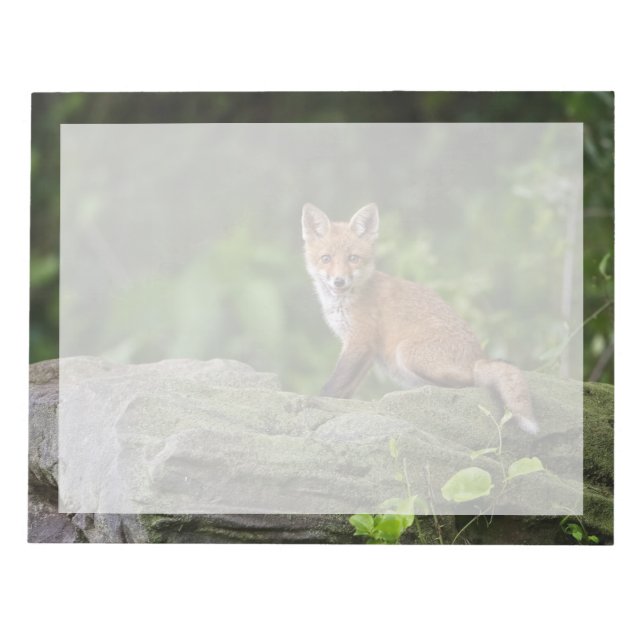 Cutest Baby Animals | Foxy Smile Notepad (Front)