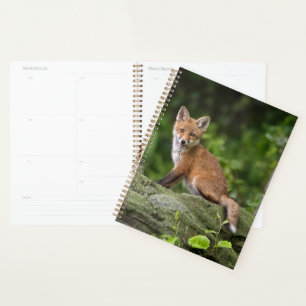 Cutest Baby Animals Foxy Smile Planner