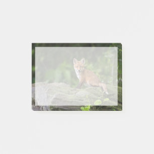 Cutest Baby Animals Foxy Smile Post-it Notes