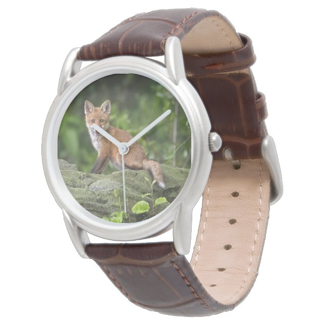 Cutest Baby Animals | Foxy Smile Watch (Angled)