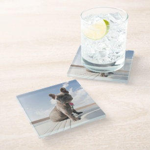 Cutest Baby Animals French Bulldog Boating Glass Coaster