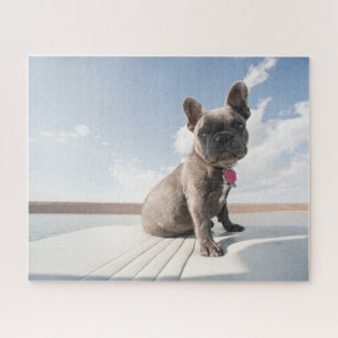Cutest Baby Animals French Bulldog Boating Jigsaw Puzzle