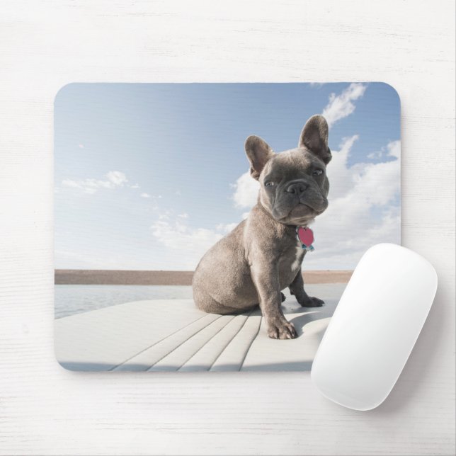 Cutest Baby Animals | French Bulldog Boating Mouse Pad (With Mouse)