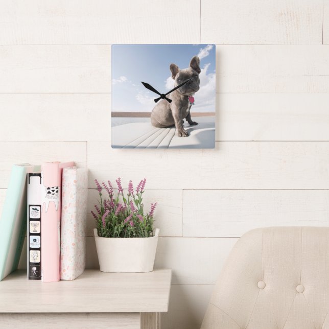 Cutest Baby Animals | French Bulldog Boating Square Wall Clock (Reading Room)