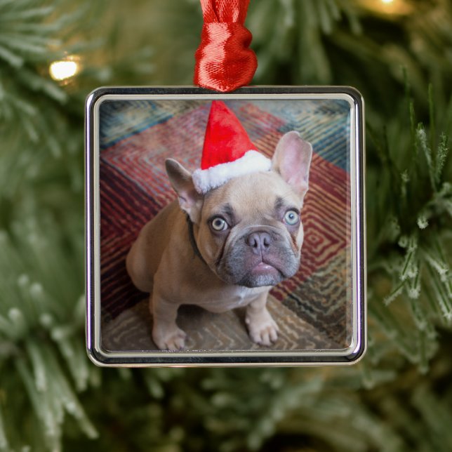 Cutest Baby Animals | French Bulldog Christmas Metal Ornament (Tree)