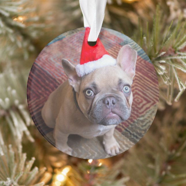Cutest Baby Animals | French Bulldog Christmas Ornament (Tree)