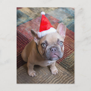 Cutest Baby Animals French Bulldog Christmas Postcard