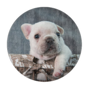 Cutest Baby Animals   French Bulldog Cutting Board