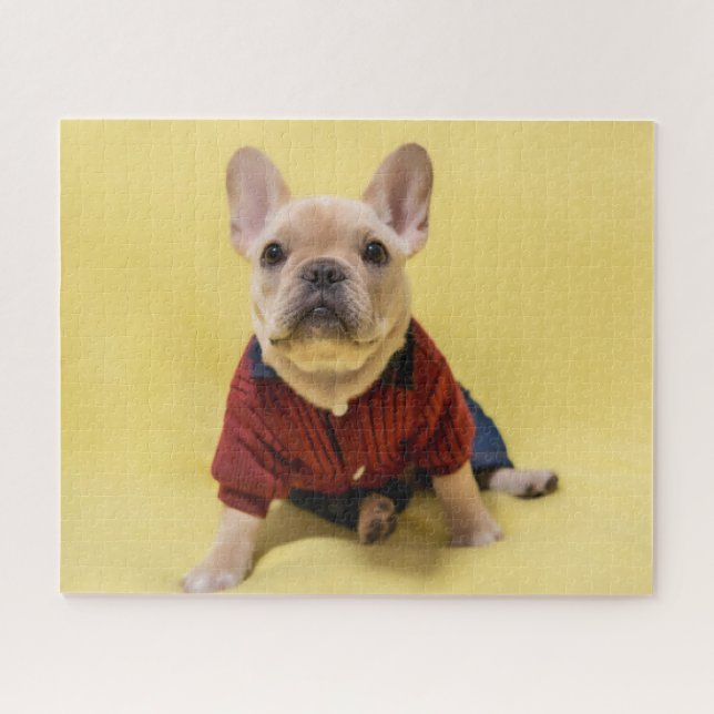Cutest Baby Animals | French Bulldog Dressed Jigsaw Puzzle (Horizontal)