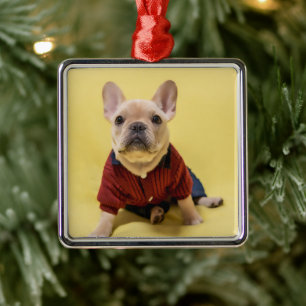 Cutest Baby Animals   French Bulldog Dressed Metal Ornament