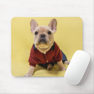 Cutest Baby Animals   French Bulldog Dressed Mouse Pad