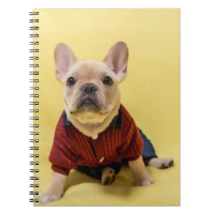 Cutest Baby Animals   French Bulldog Dressed Notebook