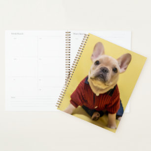 Cutest Baby Animals French Bulldog Dressed Planner