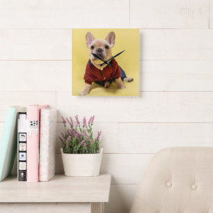 Cutest Baby Animals   French Bulldog Dressed Square Wall Clock