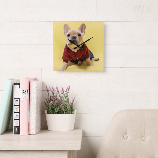 Cutest Baby Animals | French Bulldog Dressed Square Wall Clock (Reading Room)
