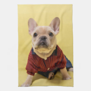 Cutest Baby Animals French Bulldog Dressed Tea Towel