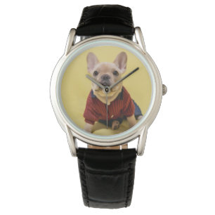 Cutest Baby Animals French Bulldog Dressed Watch