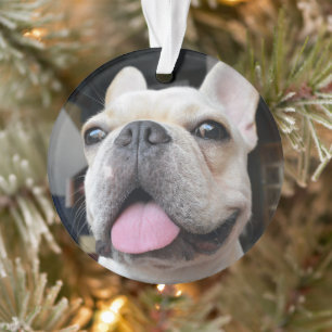 Cutest Baby Animals French Bulldog Face Ornament