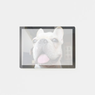 Cutest Baby Animals French Bulldog Face Post-it Notes