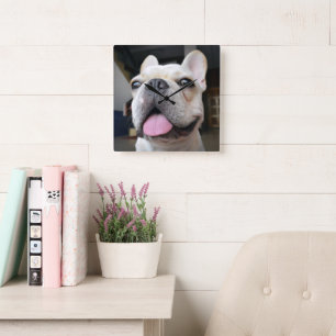 Cutest Baby Animals   French Bulldog Face Square Wall Clock
