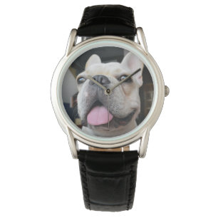 Cutest Baby Animals   French Bulldog Face Watch