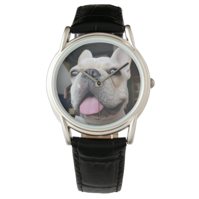 Cutest Baby Animals | French Bulldog Face Watch (Front)