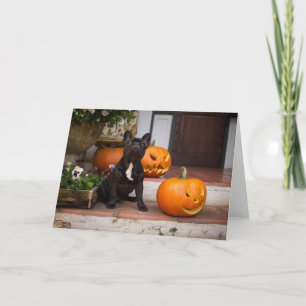 Cutest Baby Animals French Bulldog Halloween Card